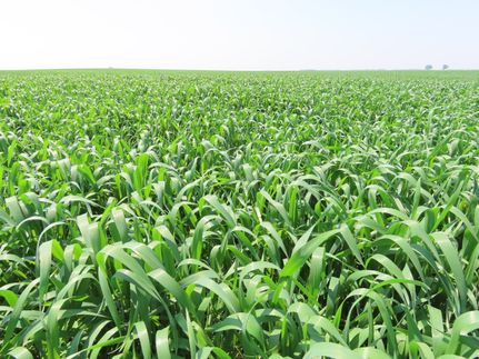 Farm and Ranch for sale in Ward County, North Dakota