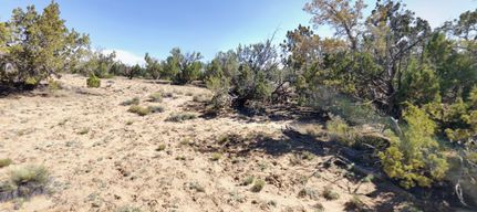 Undeveloped Land for sale in Apache County, Arizona