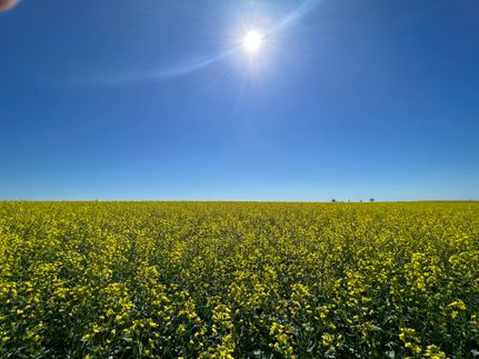 Farm and Ranch for sale in Ward County, North Dakota