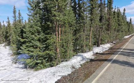 Homesite for sale in Fairbanks North Star Borough, Alaska