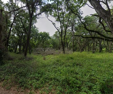 Homesite for sale in Putnam County, Florida