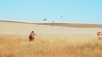 Waterfront Property for sale in Adams County, North Dakota