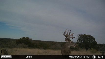 Land for sale in Edwards County, Texas