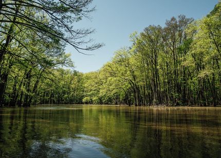 Land for sale in Carroll County, Mississippi