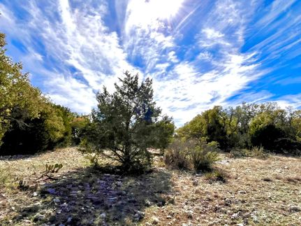 Land for sale in Schleicher County, Texas