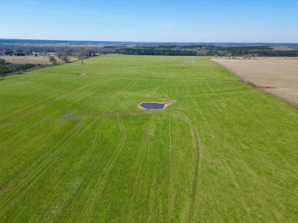 Farm and Ranch for sale in Pearl River County, Mississippi