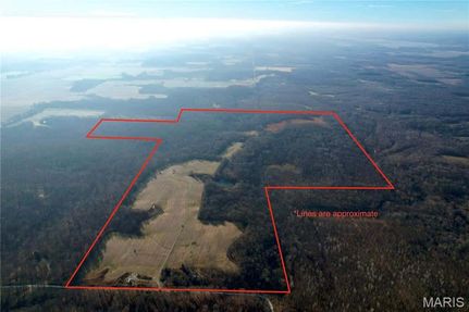 Farm and Ranch for sale in Marion County, Illinois