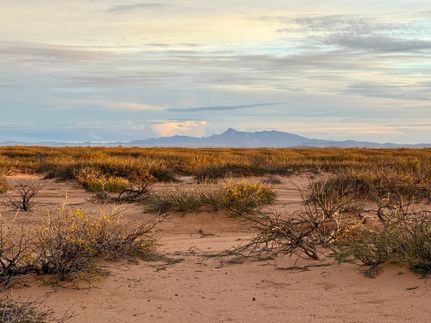 Undeveloped Land for sale in Luna County, New Mexico