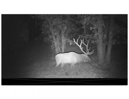 Land for sale in Crook County, Wyoming