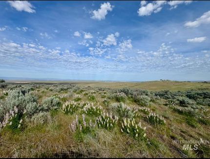 Undeveloped Land for sale in Elmore County, Idaho