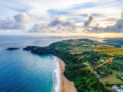 Farm and Ranch for sale in Kauai County, Hawaii