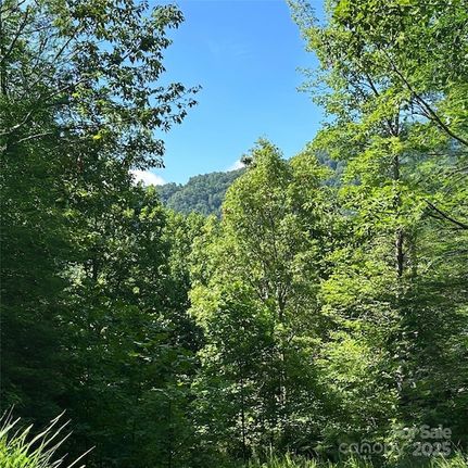 Land for sale in McDowell County, North Carolina