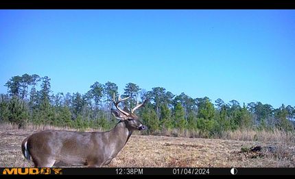 Timberland Property for sale in Washington County, Alabama