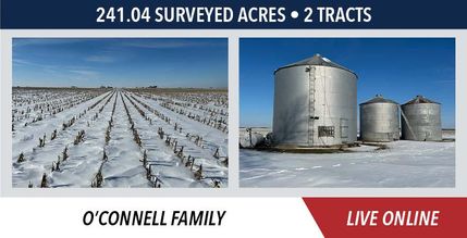 Land for sale in Grundy County, Illinois