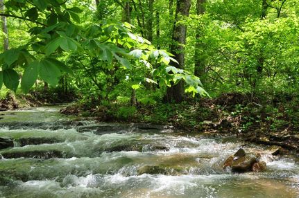 Timberland Property for sale in Monroe County, West Virginia