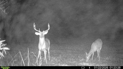 Farm and Ranch for sale in Saint Francis County, Arkansas