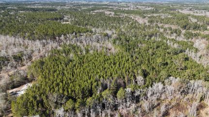 Land for sale in Evans County, Georgia