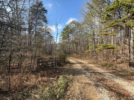 Undeveloped Land for sale in Dade County, Georgia