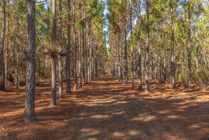 Farm and Ranch for sale in Wilcox County, Georgia