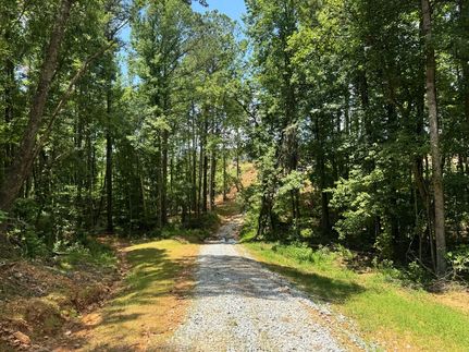 Undeveloped Land for sale in Heard County, Georgia