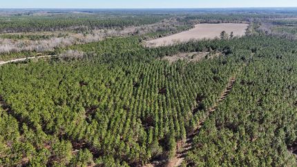 Farm and Ranch for sale in Wayne County, Georgia