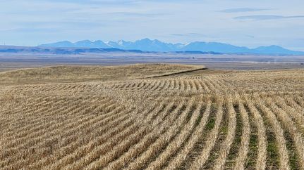 Land for sale in Stillwater County, Montana