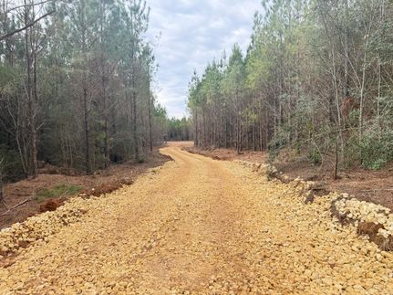 Land for sale in Covington County, Alabama