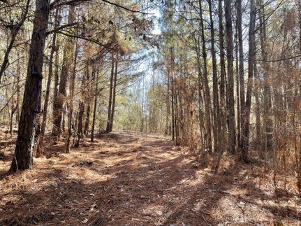 Hunting Property for sale in Smith County, Texas