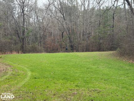 Timberland Property for sale in Chilton County, Alabama
