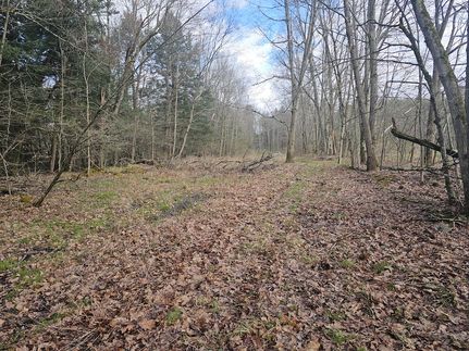 Timberland Property for sale in Chenango County, New York