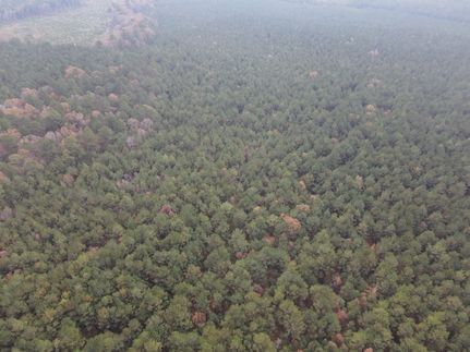 Land for sale in Calhoun County, Arkansas