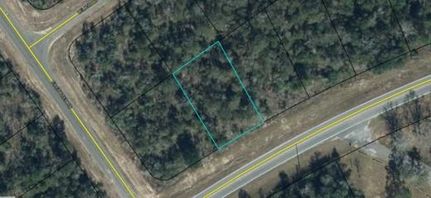 Land for sale in Washington County, Florida