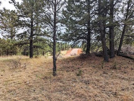Undeveloped Land for sale in Custer County, South Dakota