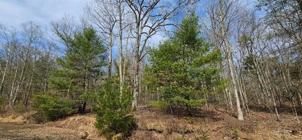 Land for sale in Sullivan County, New York