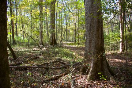 Farm and Ranch for sale in Tippah County, Mississippi
