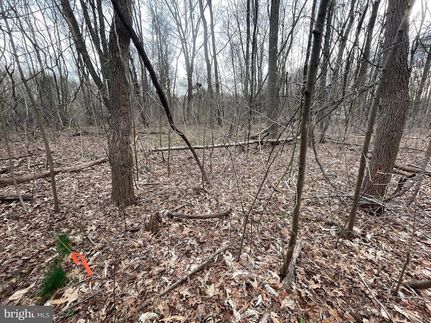 Undeveloped Land for sale in Kent County, Maryland