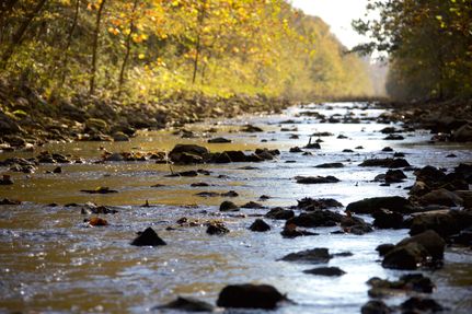 Farm and Ranch for sale in Tippah County, Mississippi