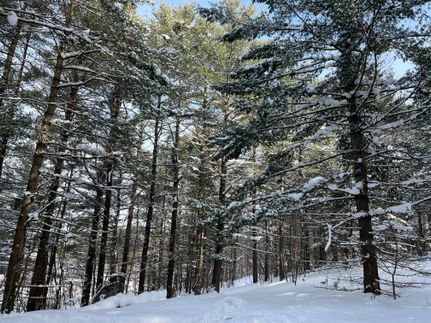 Land for sale in Lewis County, New York