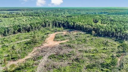 Land for sale in Amite County, Mississippi