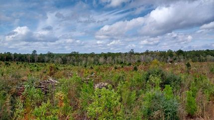 Hunting Property for sale in Tyler County, Texas