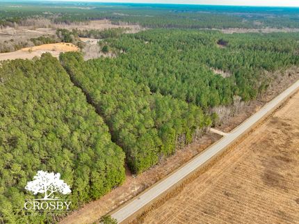 Hunting Property for sale in Williamsburg County, South Carolina