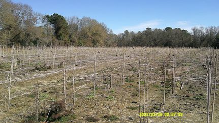 Hunting Property for sale in Dooly County, Georgia