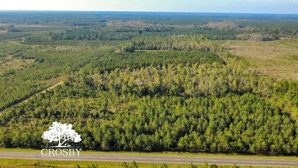 Timberland Property for sale in Tattnall County, Georgia