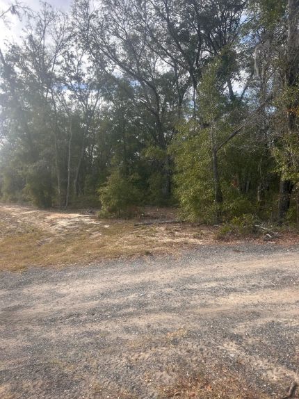 Recreational Property for sale in Alachua County, Florida