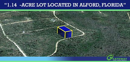 Undeveloped Land for sale in Jackson County, Florida