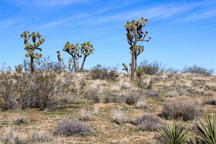 Undeveloped Land for sale in San Bernardino County, California