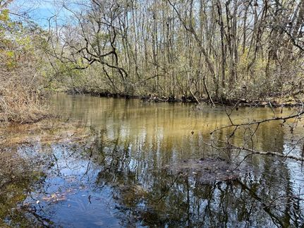 Land for sale in Taylor County, Georgia