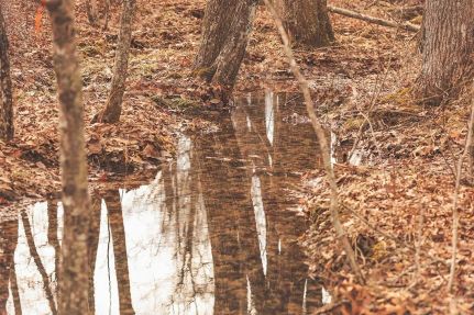 Land for sale in Marion County, Tennessee