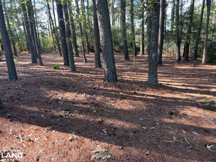 Land for sale in Accomack County, Virginia