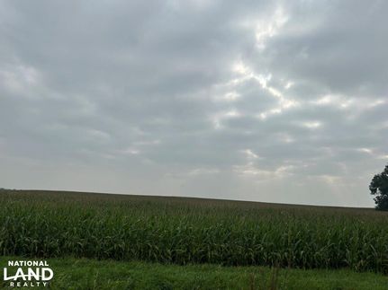 Land for sale in Renville County, Minnesota